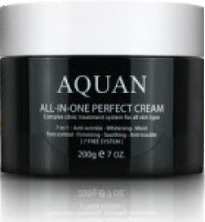 Anskin Aquan Allinone Perfect Cream