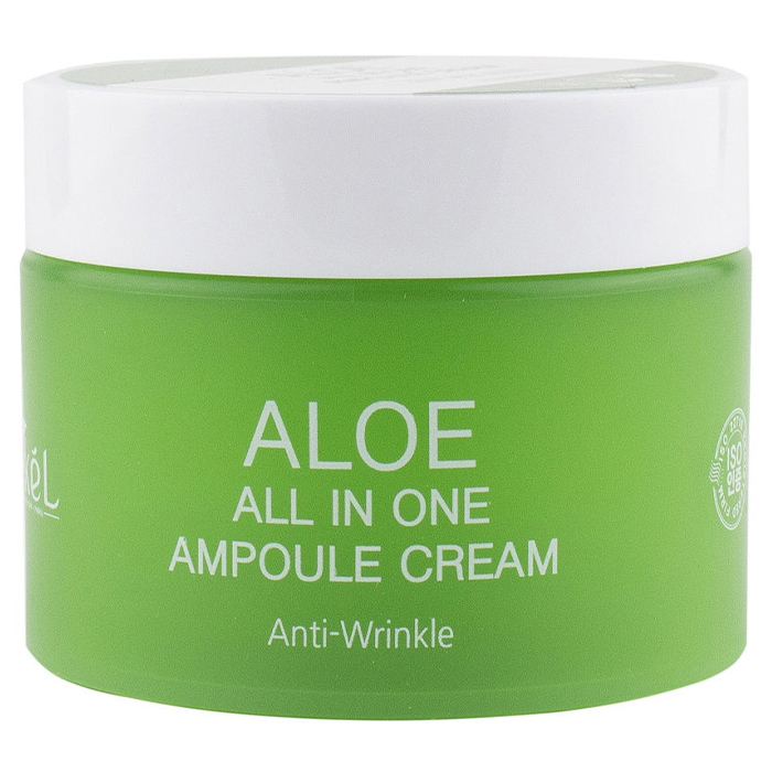 Ekel All In One Ampoule Cream Aloe