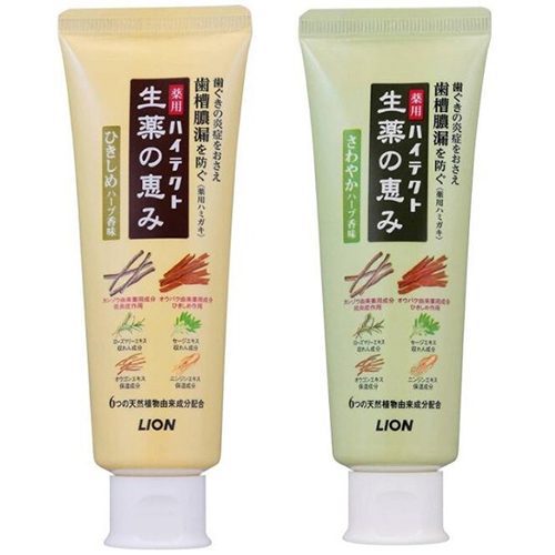 Lion Japan Hitect Seiyaku Toothpaste