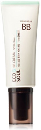 The Saem Eco Soul Long Wear BB Cream