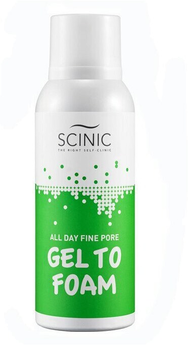Scinic All Day Fine Pore Gel To Foam