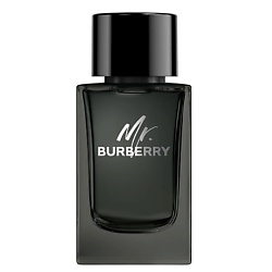 BURBERRY Mr. Burberry Eau de Parfum Парфюмерная вода, спрей 