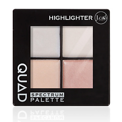 J. CAT BEAUTY Палетка хайлайтер для лица QUAD 101 Highlighte