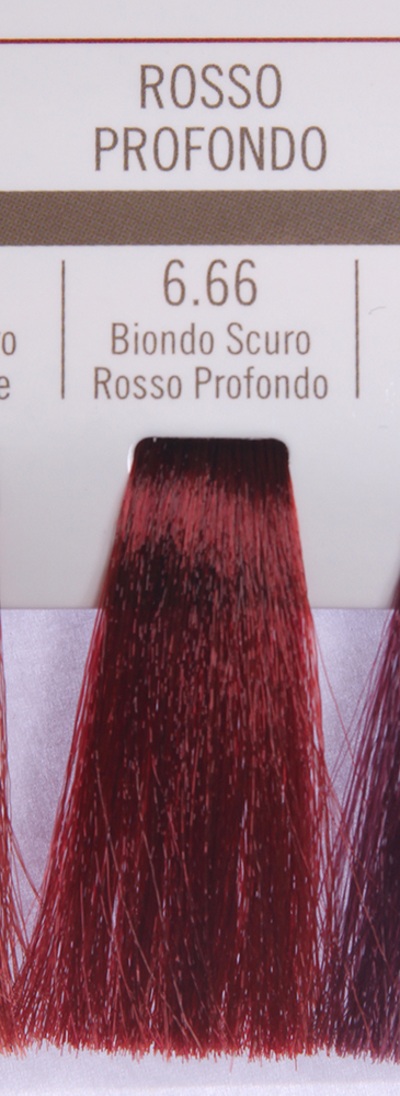 BAREX 6.66 краска для волос / PERMESSE 100 мл