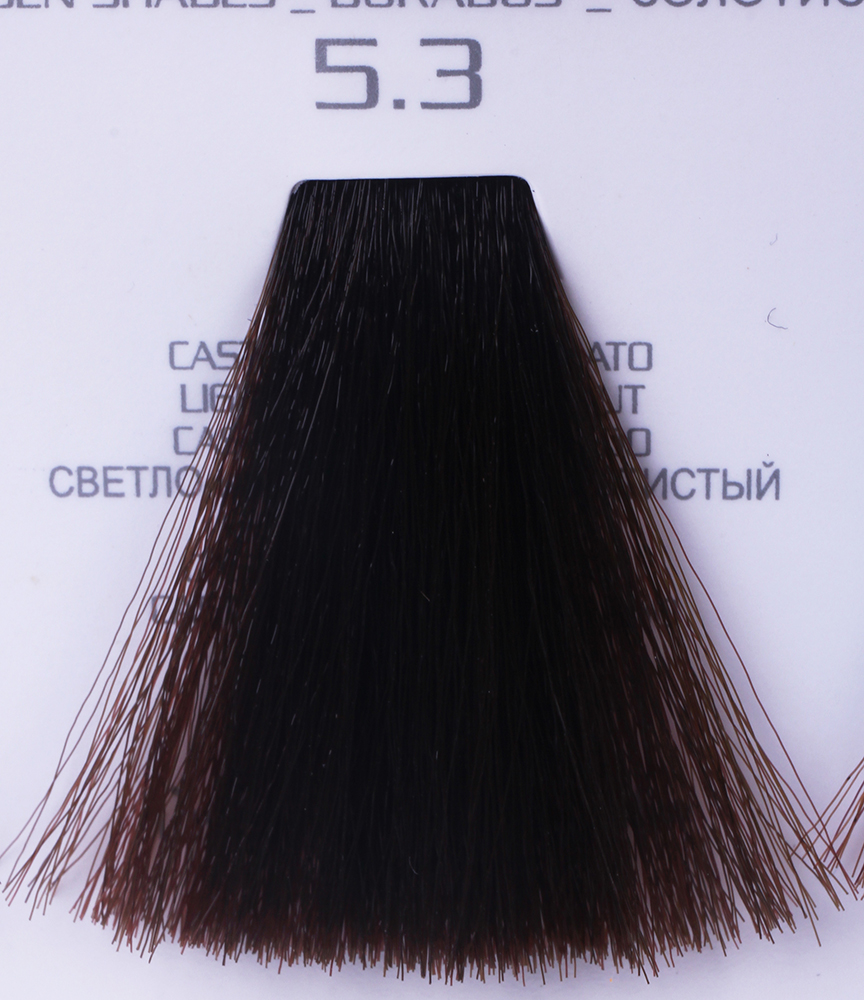 HAIR COMPANY 5.3 краска для волос / HAIR LIGHT CREMA COLORAN