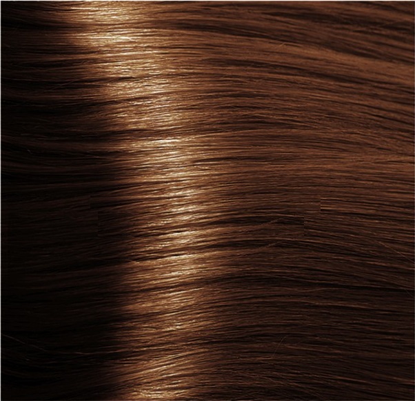 HAIR COMPANY 8.31 крем-краска, светло-русый глазированный ка