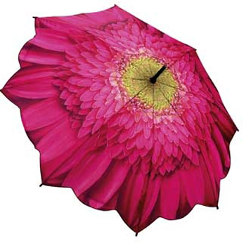 Зонт-трость цветок малиновая гербера galleria